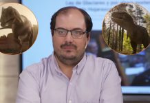 Dr. Martín Ezcurra | Paleontólogo del CONICET en el Museo Argentino de Ciencias Naturales
